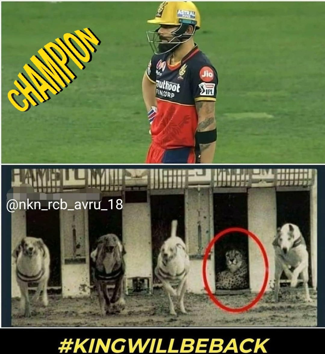 RitikRa17015242's tweet photo. #kingwillbeback https://t.co/ImahAdfPRa