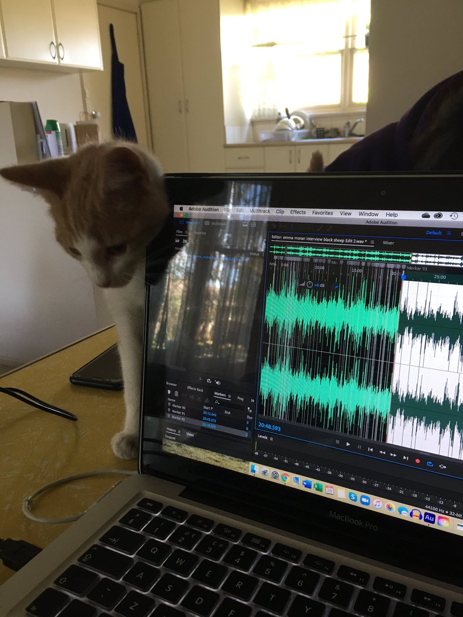 Cat  Warren tweet media