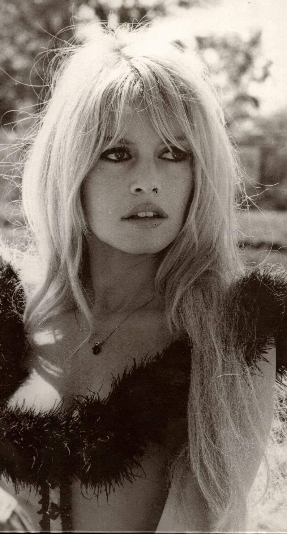  happy birthday Brigitte Bardot 