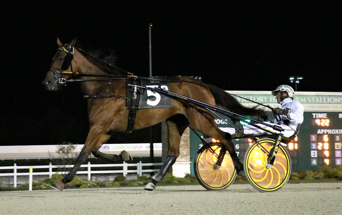 hoosiernations's tweet image. Good Morning @MarcusMMelander @IrishTrotting @Chris_wponies @rebelsart @jtlburn @KimberlyMosier1 @KathleenBaitzel @joe_norte @BradA53472906 @dolenski_john @KerriLT17 @JoanSpe77536971 @vnssa926 @blongphee67 @tlvonline @INStandardbred @HoP_Racing #Iteration #BrianSears #GimsLilSis
