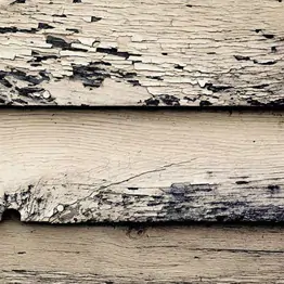 434-484-2372 tweet media