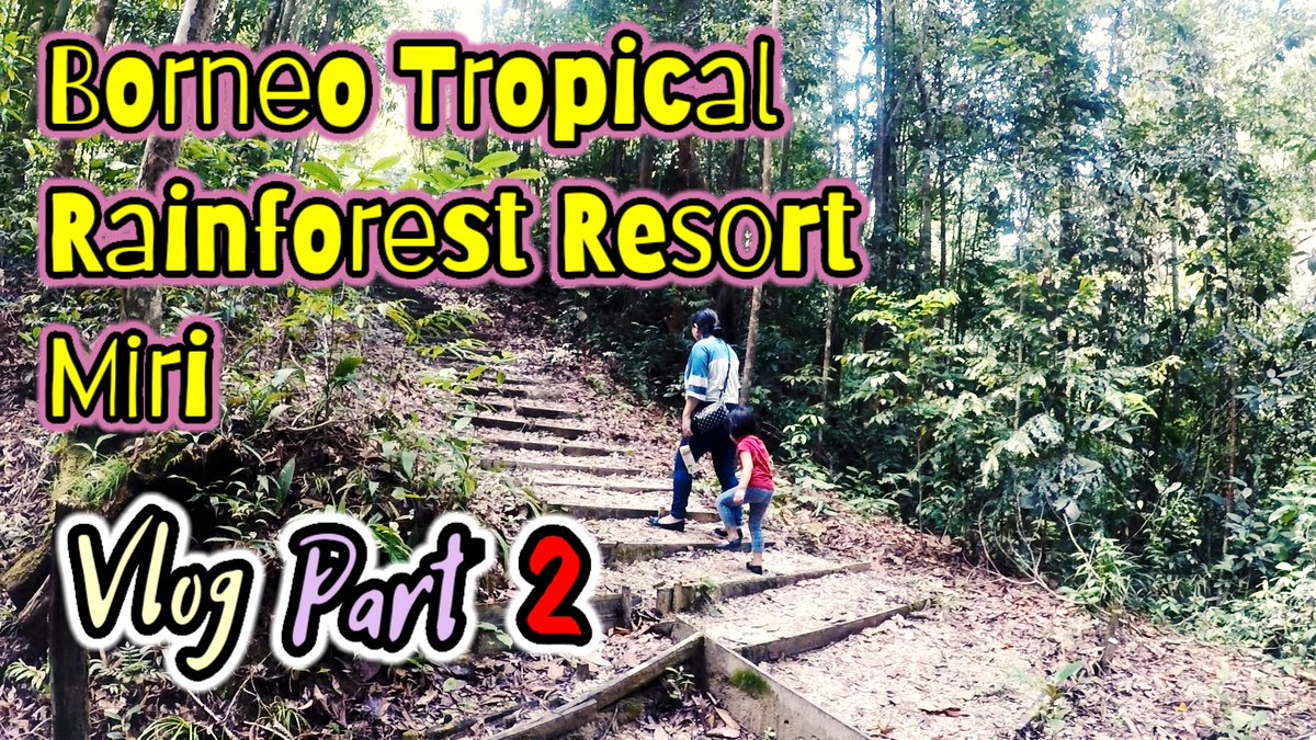 SuzyAngie's tweet photo. Vlog Part 2 at Borneo Tropical Rainforest Resort Miri Sarawak.

Check it out⬇️⬇️
https://t.co/lyezbdklXQ

#BorneoTropicalRainforest
#vlogger #adventure #JungleTour https://t.co/xMbMPCGSlD