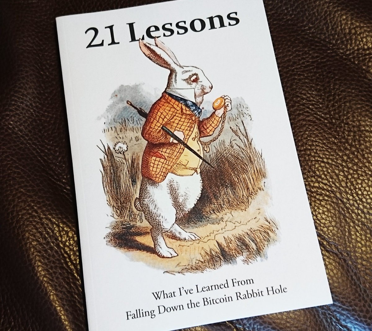 bitcoinerthings's tweet photo. ⬇️#Bitcoin 🐇🕳️ w/ @dergigi 🤜🤛 https://t.co/54XznklOP9