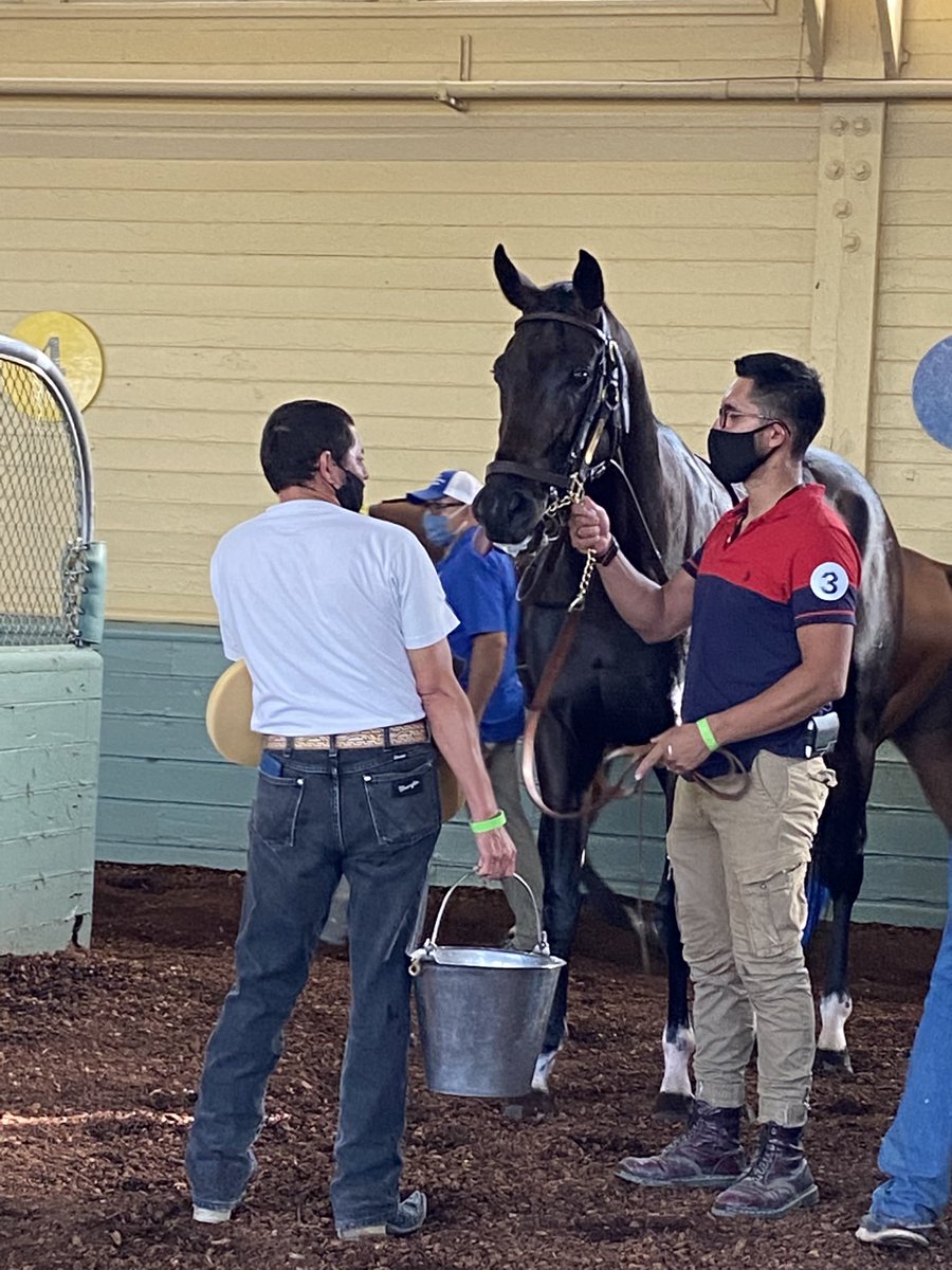 LauraLock10's tweet photo. Tizamagician and Lane Way came in 2nd in both of their respective races. Thanks #TeamMandella @MandellaGary @cambra_taylor and @DraydenV and #FlavienPrat for their rides today. Fun times at @santaanitapark https://t.co/Z9YFZJLxQn