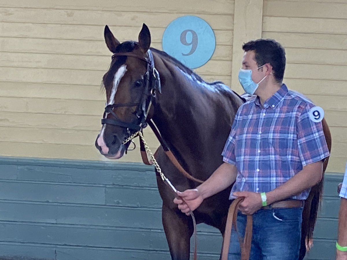 LauraLock10's tweet photo. Tizamagician and Lane Way came in 2nd in both of their respective races. Thanks #TeamMandella @MandellaGary @cambra_taylor and @DraydenV and #FlavienPrat for their rides today. Fun times at @santaanitapark https://t.co/Z9YFZJLxQn