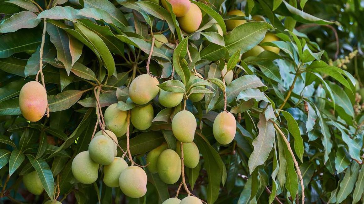 BusinessDaily tweet media