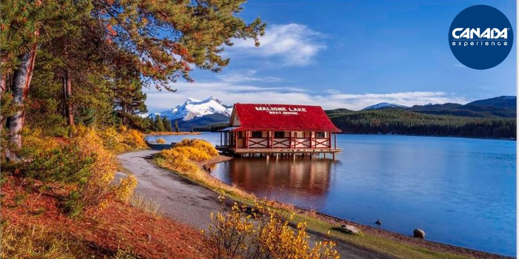 CanadaExperienc's tweet photo. Post Twitter
🍁🏔  L'Autunno colora le Montagne Rocciose nel Canada dell'Ovest! 
Preparati per un foliage unico nei parchi Jasper e Banff.

Lasciati ispirare dal Canada!
Pianifica il tuo viaggio con Canada Experience®
#canadapertutti #canadaexperiencetravel #canadaexperience https://t.co/vm8hxXpCh2