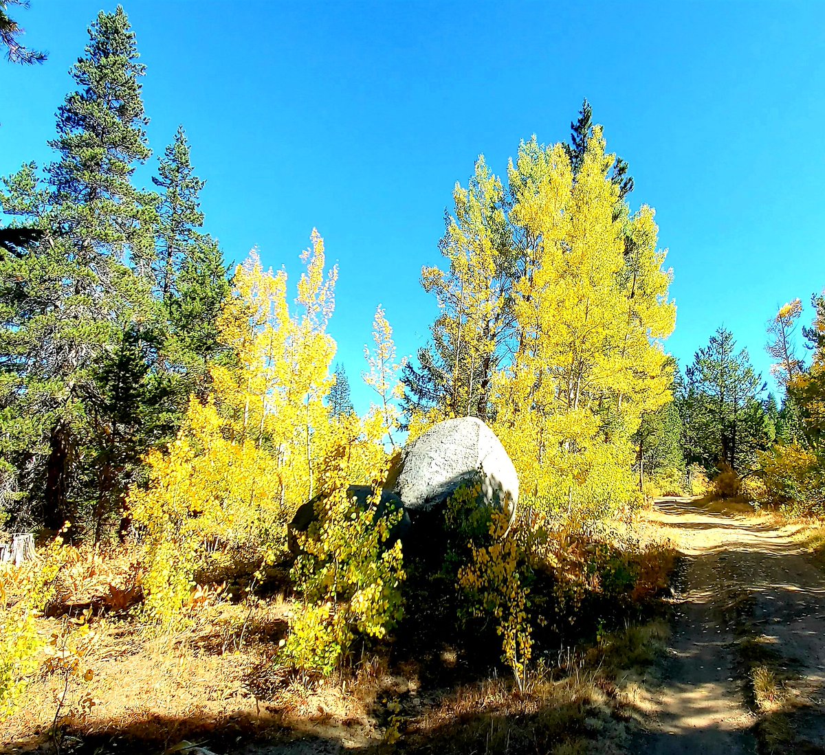 Had a really great 8 mile hike today behind #TahoeDonner with friends Mike and Wendy. Delightful weather, amazing scenery and friendly conversation. #LoveTruckee #TahoeBasin https://t.co/QKYJat9ITg