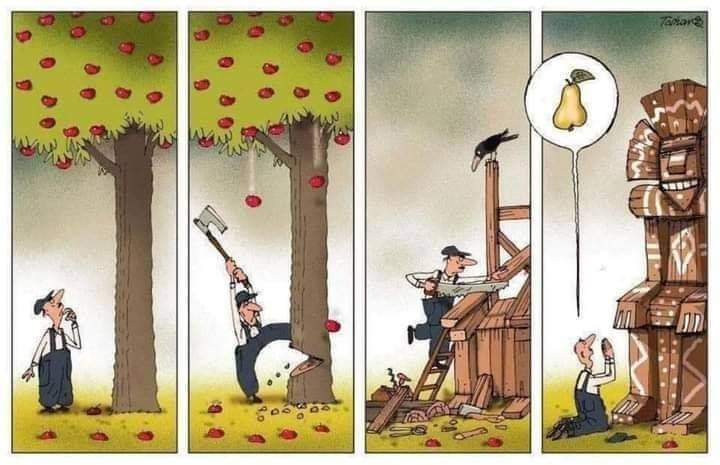 Human stupidity can't be explained better than this picture.

Please Plant trees Plant hope 🌳❤🌳