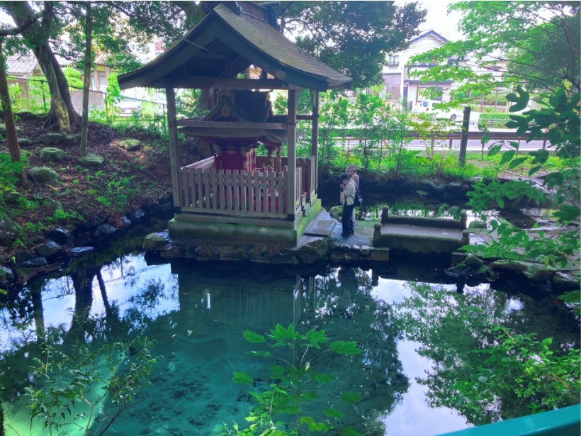 日立市にある泉神社は、日立地方で最も古い神社です⛩✨神社の右手にある泉が森には湧水があり、近づくと信じられないほどの透明度とエメラルドクリーンの綺麗な色に目を奪われます👀💚湧水に触れることのできる水みくじもあり、とても神秘的でいるだけで気持ちが浄化されるスポットです🥺🤍