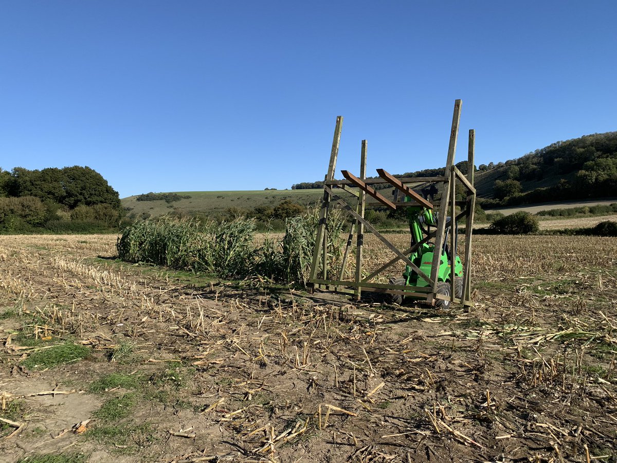 Maize maze  bridge <a href="/AnstyFarm/">Ansty Farm Shop</a> stripped down and packed away for another year. Made it a lot easier with the <a href="/AvantTecnoUK/">Avant Tecno UK</a> 635.