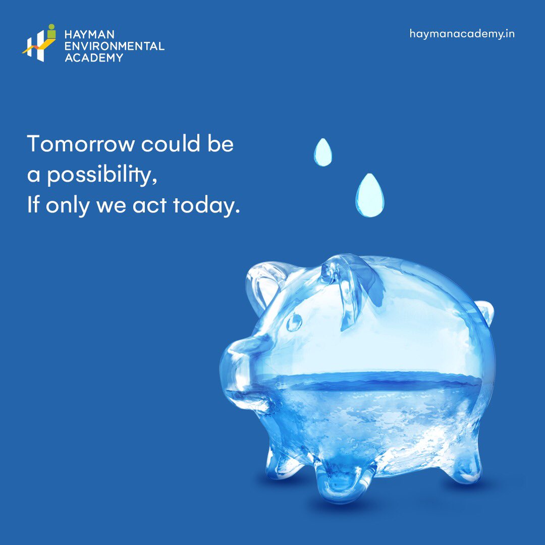 Hayman Environmental Academy (HaymanAcademy) Twitter