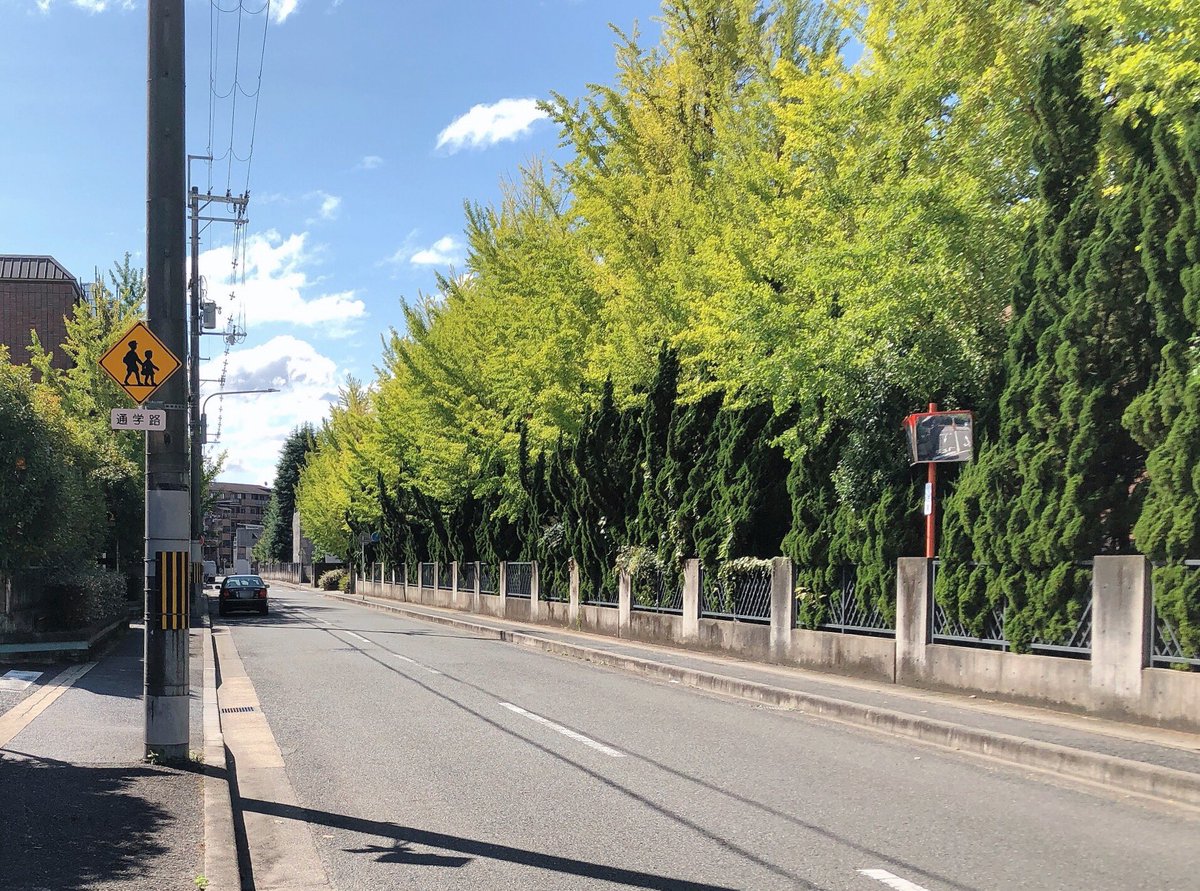 京都工芸繊維大学 学生広報チーム K Nosby K Nosby Twitter