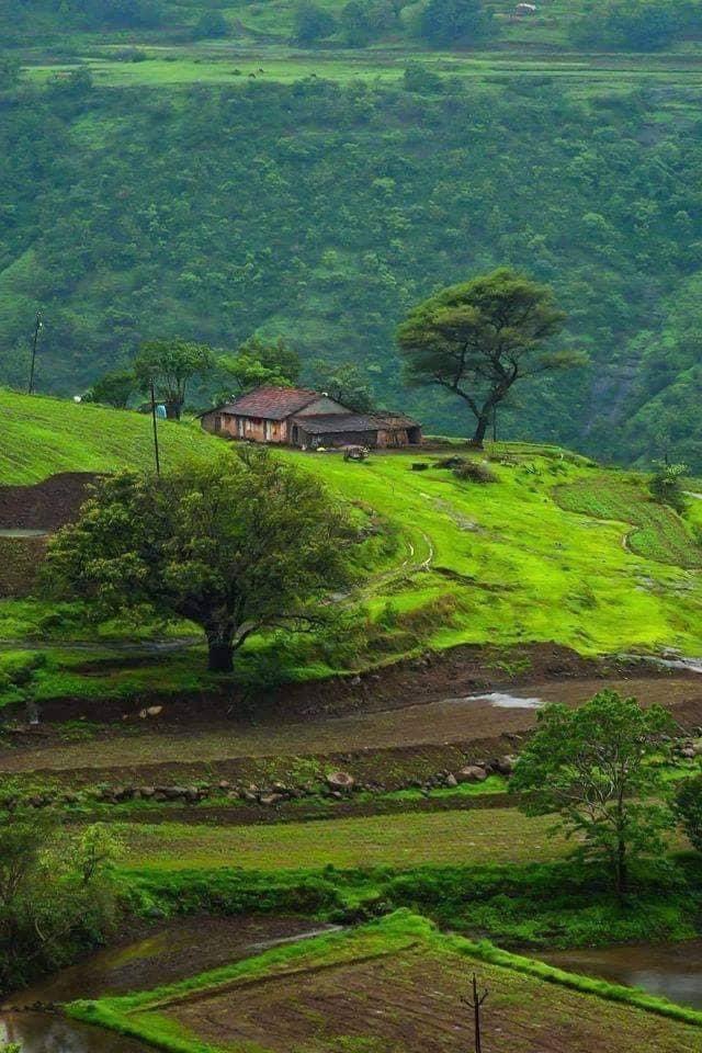 dineshdasa1's tweet photo. Dang - the serene landscape.....#monsoon https://t.co/ttGwC9s3lm