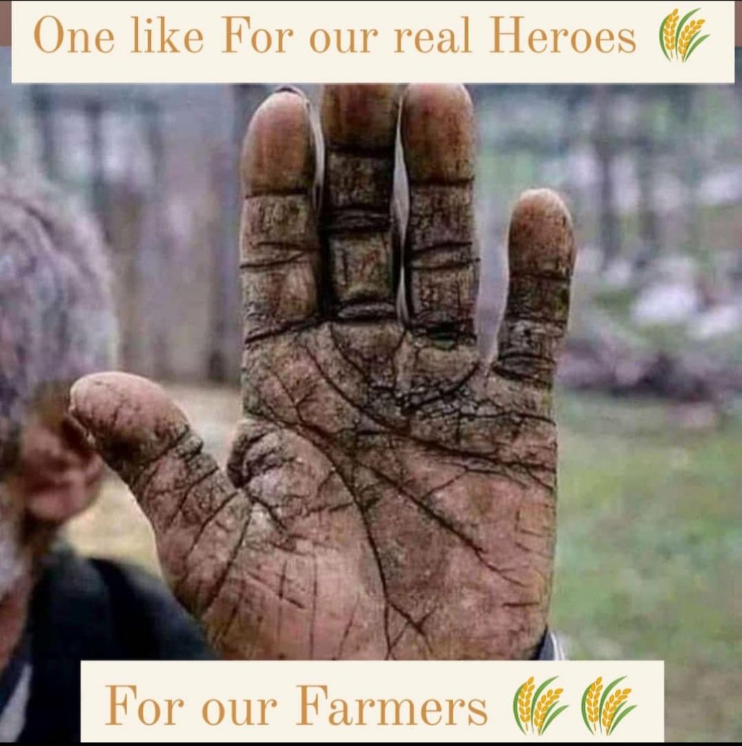 iamKaushal02's tweet photo. They make moisturising raw materials  but never use it ....because  they are busy  to make something else  ..for us ..
And believe me guys you can't  feel it ! https://t.co/mYbD8KoSI5