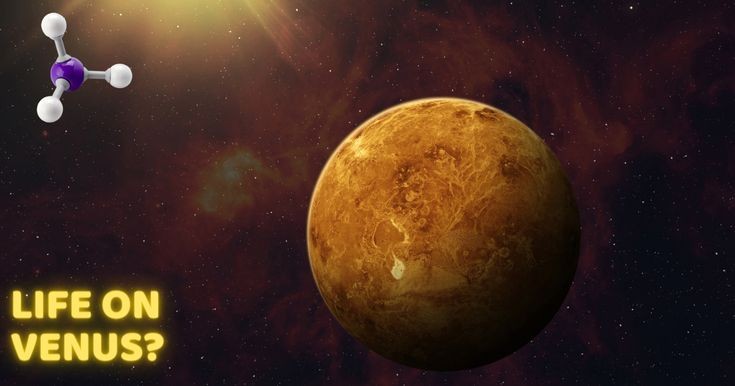 bhuvardhena's tweet photo. Microbial life on Venus? #lifeatvenus #NASA #astrology
#biomaker #ScienceMatters
#Astrophotography
https://t.co/8W1VmGfk7X https://t.co/qRxn61Qeu6