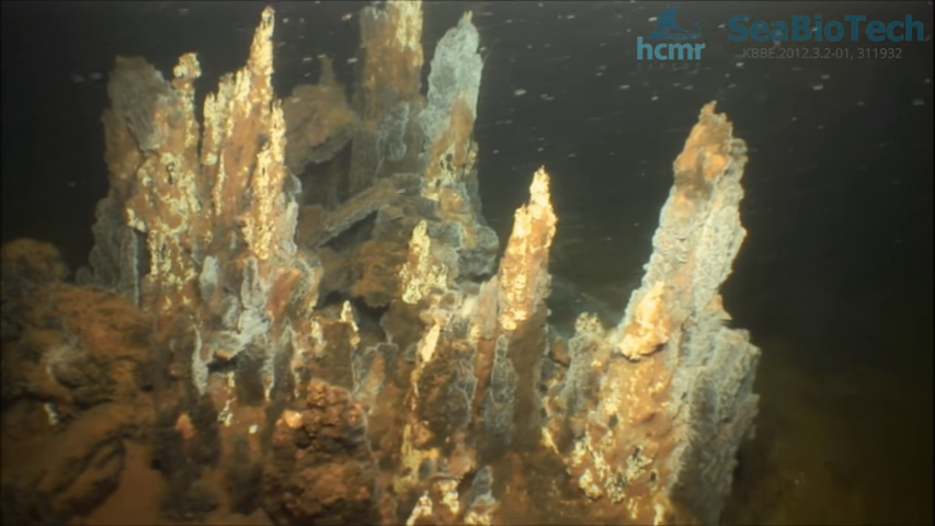 Kolumbo is an active submarine volcano in the Aegean Sea, Greece.  via @youtube youtu.be/-0nQdt69Jkc  

📷"A high-temperature hydrothermal vent in the Kolumbo submarine crater, discharging gases...." Santorini 🇬🇷 geo.auth.gr/765/6_santorin…