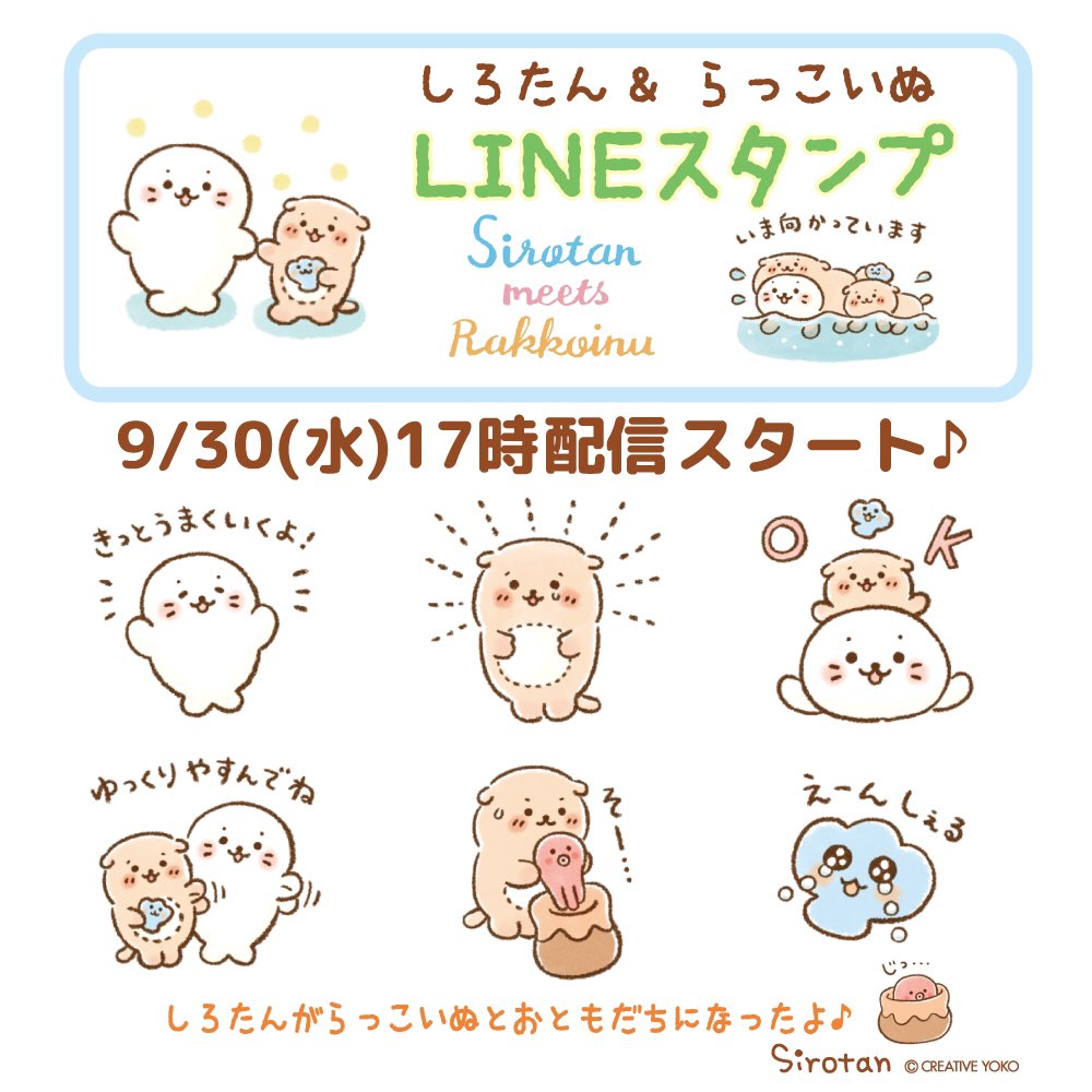 【#LINEスタンプ 新作】
9月30日(水) 17時 LINEスタンプ「しろたん & らっこいぬ」 配信予定!
しろたんとらっこいぬ達がふんわりやさしくトークを盛り上げてくれるよ♪

※しろたんとらっこいぬの出会いのエピソードはこちら
https://t.co/hEVD5fejMs

#しろたん #sirotan #らっこいぬ #LINE 