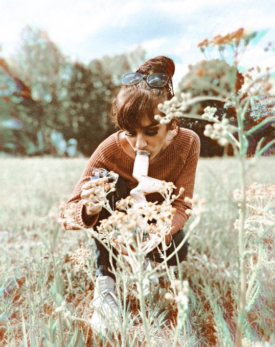 Step 1: get a bong  Step 2: get in a field https://t.co/AEGakj4pWo<a href="/tag/newprofilepic"class="tags"><span>#newprofilepic</span></a>