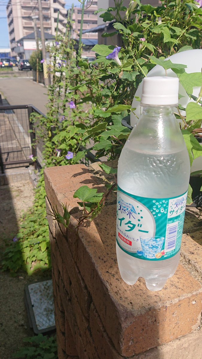 🎤(○・;)
まだまだ、俺たちの夏は終わってねーぞ！！！