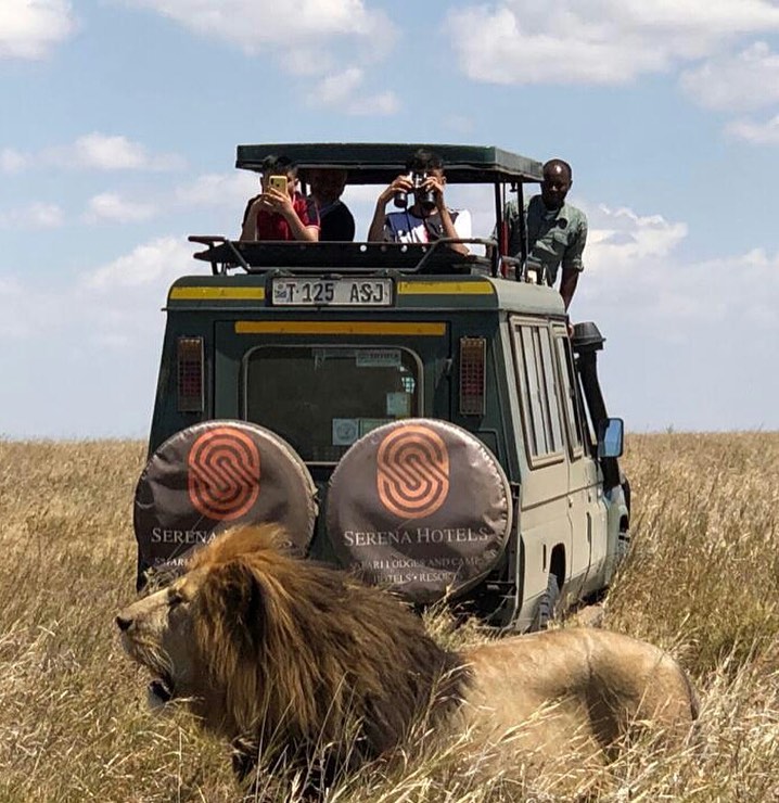 Where else do you get a one on one time with the king of the jungle than at the Serengeti. Spectacular game drives in the Serengeti are a must; book your safari with Serena Lodges today for an unforgettable experience https://t.co/6M2wW17EeF