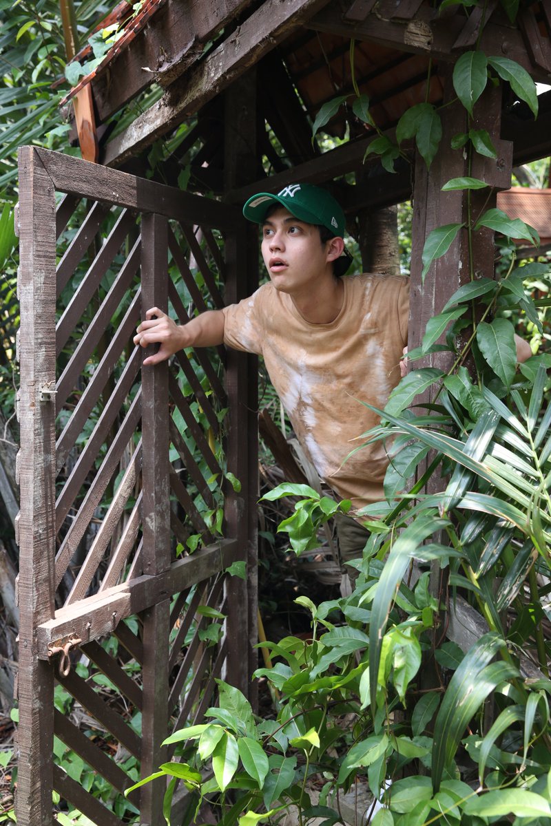 Toelaew tweet media