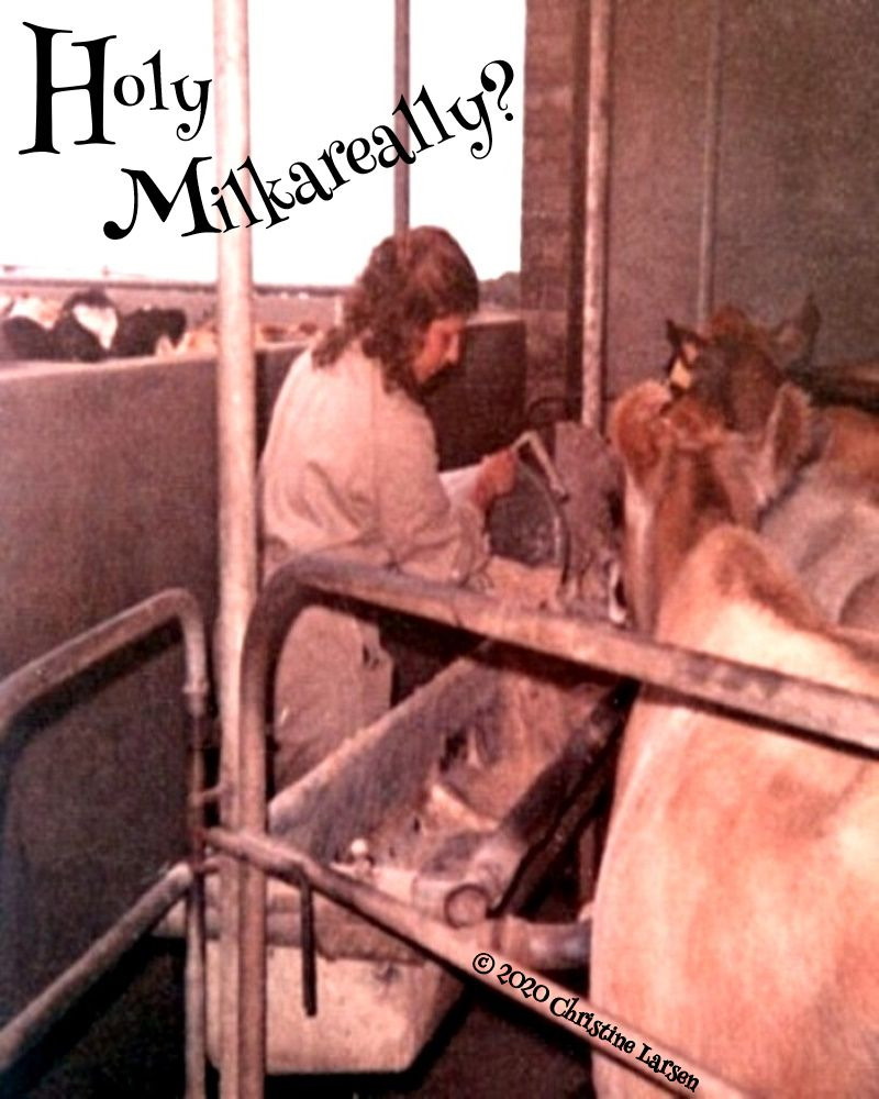 'Playing with Words' collection - today's addition - 'Holy Milkareally?' - one of those memories that become funnier the more years distant it is. wattpad.com/958366524-play…