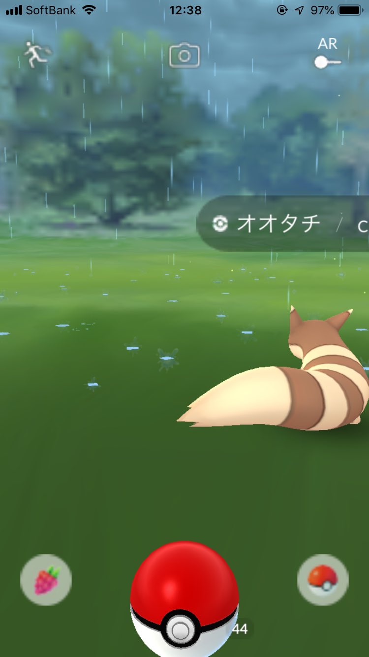 ぴよマール 0ac ポケモンｇｏのオオタチが可愛い５ ポケモンｇｏ 自宅勢 土曜 オオタチ どようび 土曜日 T Co Jem7kk21kl Twitter