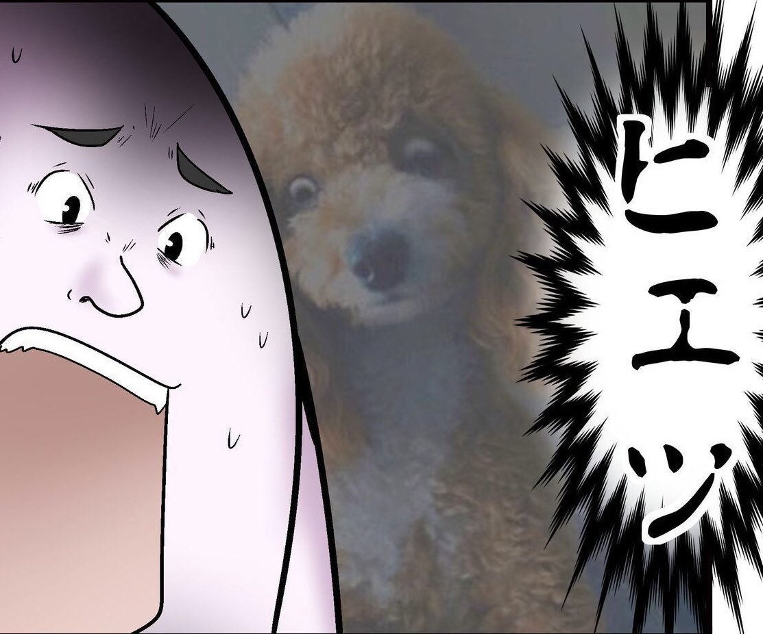 やしろあずき 犬は感情を表情に出せない っめ言う人もいるけどこの顔見て同じ事言える 確実に命取りにきてない