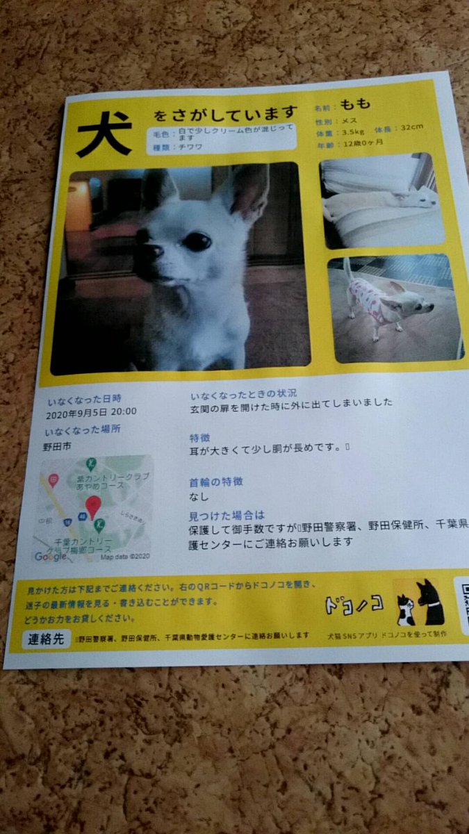 ラファエル Harikyu Raphael Twitter