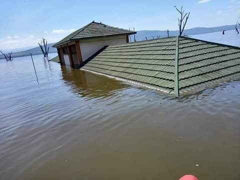 Hell hath no fury like the forces of nature. Rift Valley lakes are swelling beyond limits. This portends serious ecological disasters. Below is Lake Nakuru National Park main entry, before &amp; after.