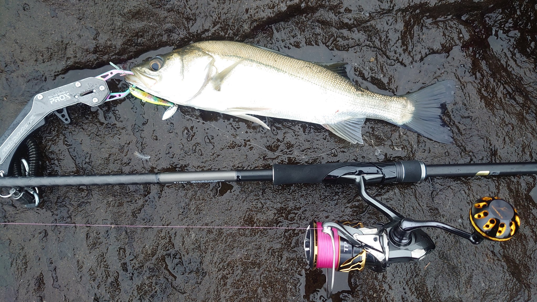 Eisu 9 26 若洲海浜公園 曇り時々雨 人工磯 釣果 シーバス15キャッチ2バラし サイズ 35 62cm 日の出時刻も太陽は顔を出さず 鉄板バイブよりもブレードの付いたルアーに反応が良かったです カラーはチャートやキャンディが中心でした 5連続キャッチした