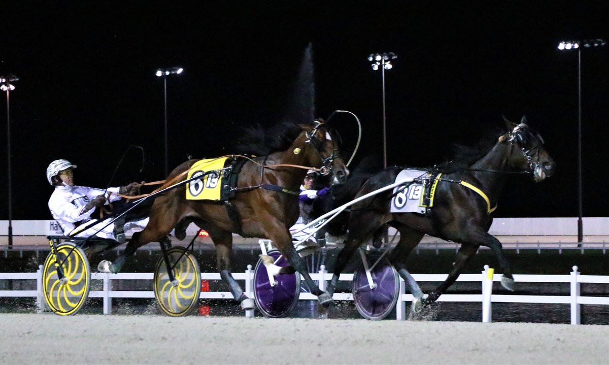 hoosiernations's tweet image. Good Morning @MarcusMMelander @stefan_melander @HPEmilyG @Chris_wponies @rebelsart @jtlburn @KimberlyMosier1 @KathleenBaitzel @joe_norte @BradA53472906 @dolenski_john @KerriLT17 @JoanSpe77536971 @righthind @ginarocksu @INStandardbred @HoP_Racing #Gimpanzee #BrianSears #Atlant