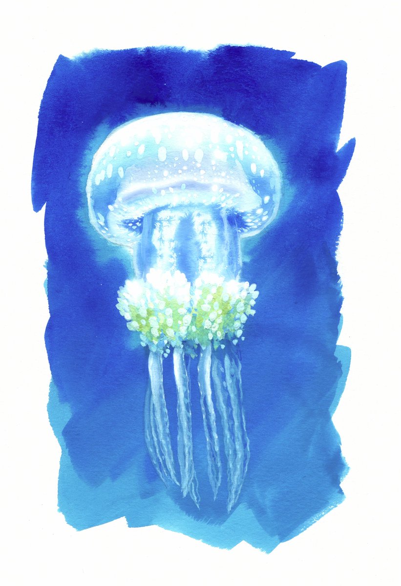 日本最大の 生きる星 水彩画 イラスト クラゲ 宇宙 インテリア 家具 Www Thjodfelagid Is