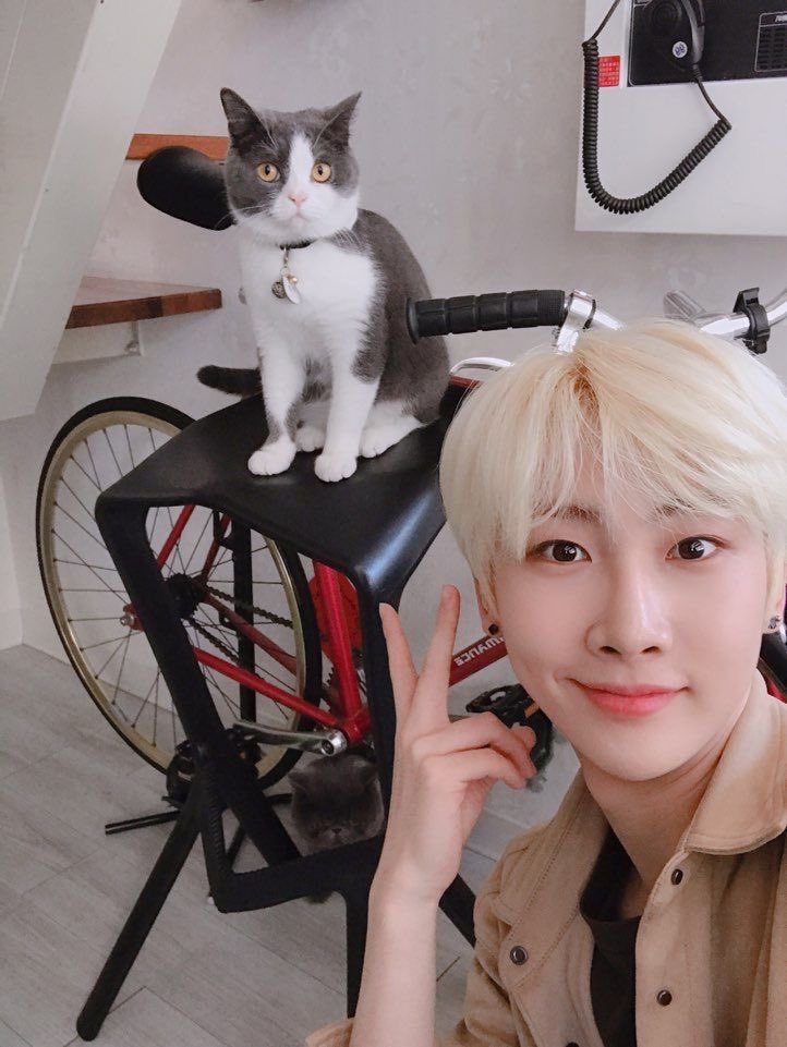 —> Day 25 [200925]Idk why this is funny to me but it rlly isThe cat kinda looks like they’re riding the bicycle, like-Also, that cat looks slightly startled N e ways, I hope Hoyoung is doing well, I love him v much <3