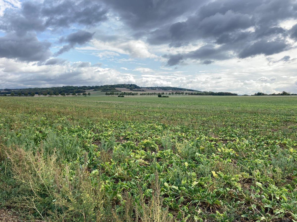 Merci à #JeanFrancoisDelaitre pour son accueil à Ussy-sur-Marne (77) Un agriculteur en transition vers le bio. Betteravier en conversion, il s’interroge. Nous sommes là pour le soutenir. Diversification avec la methanisation : Biogaz, compost, digestat... ça, c’est fait ! 🙂🌸
