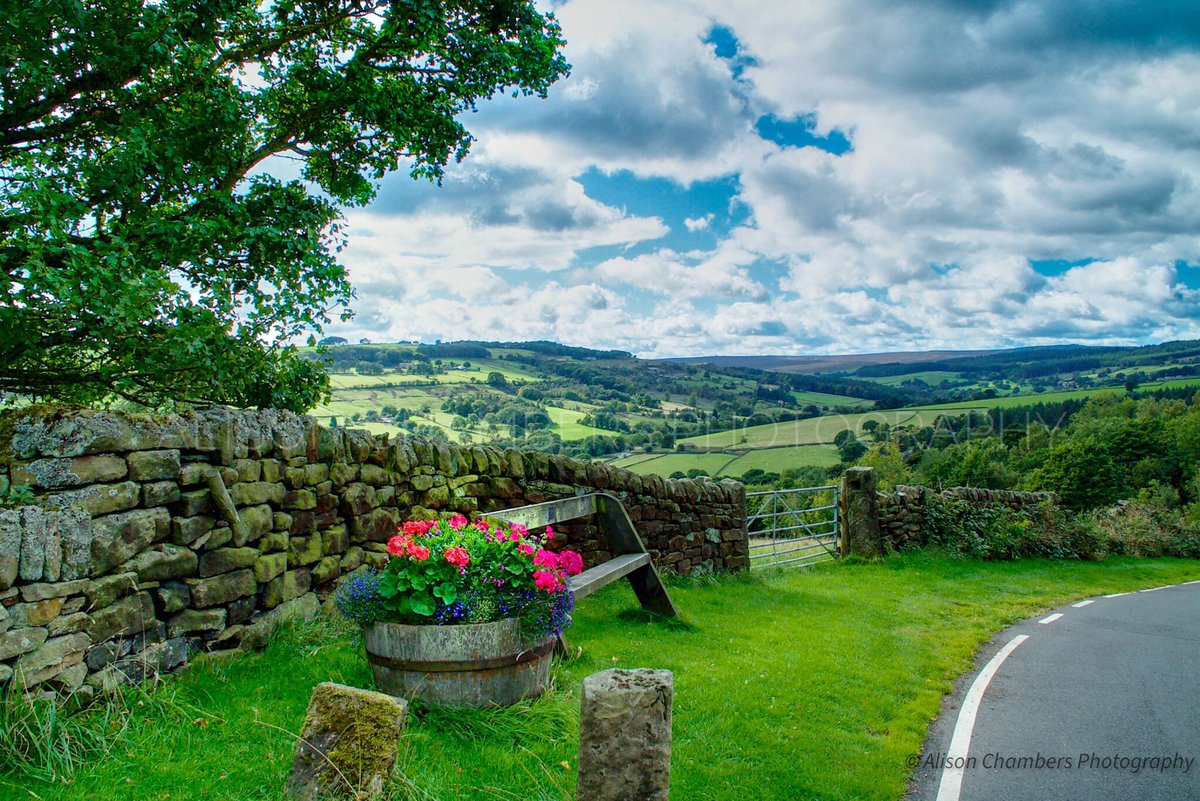 AlisonC24426188's tweet image. View From High Bradfield©️. The view from High Bradfield looking towards Bamford in The Derbyshire Peak District National Park.shop.photo4me.com/869833 &amp;amp; fineartamerica.com/featured/view-… &amp;amp; alisonchambers2.redbubble.com &amp;amp; alisonchambers.picfair.com #highbradfield #yorkshire #peakdistrictnationalpark