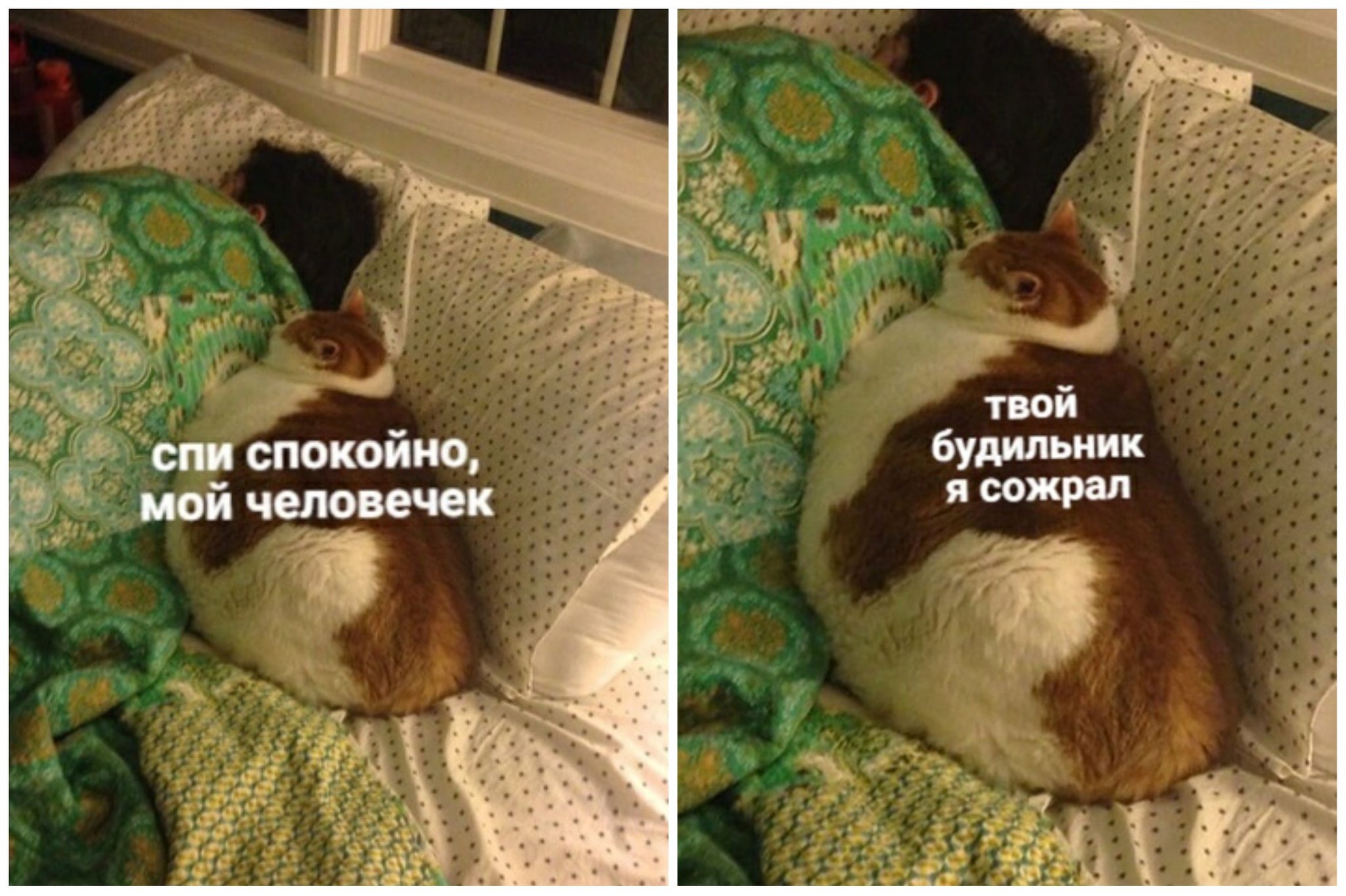 Спокойно поспать