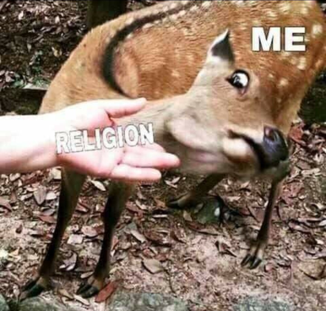 NapalmDaydream's tweet image. 