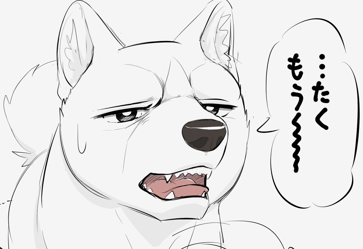 皮犬 En Twitter 外伝で珍しく呆れる赤目さんの顔を正面から見たかったという落描き