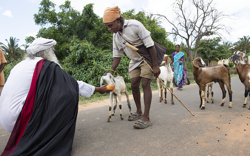 Every creature on the planet holds its life phenomenally precious, not just human beings. #SadhguruQuotes #WorldAnimalWelfareDay