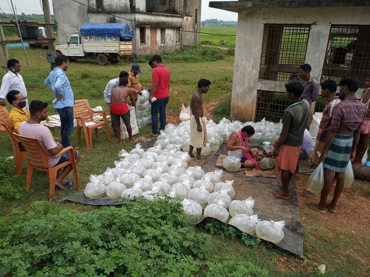 DMnabarangpur's tweet photo. Distribution of fingerling &amp; fish feed  to 33 tribal beneficiaries of Dabugam Block under Mission Jeevika Programme of ITDA,Nabarangpur from Govt. Fish Farm,Pujariguda,Umerkote. https://t.co/HwQRabiX5O