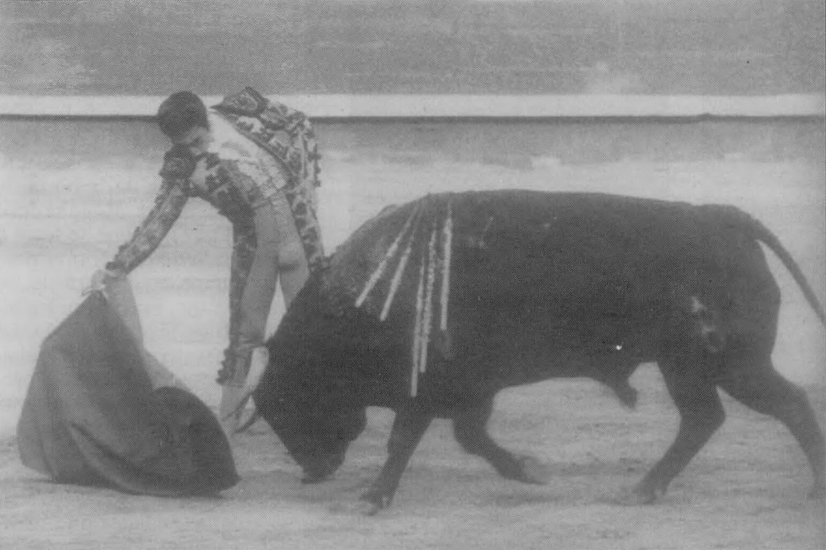 Madrid. 24.05.1976
Sebastián Cortés.
Toro de Baltasar Ibán.
Foto: Revista El Ruedo.