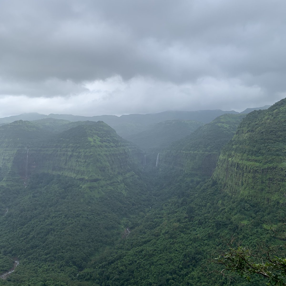 karthickbala's tweet photo. #Diatoms from #WesternGhats #BackToFields with some curious visitors https://t.co/O68OF5SdqH