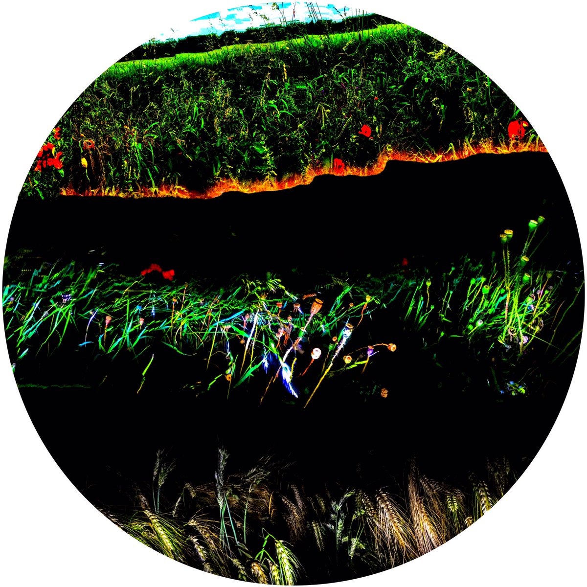 scapesinmotion's tweet photo. The Meandering near Huby # 9’ (36”x36”/91x91cm): a constructed photo image from our recent lockdown walks series: on our website soon (link in bio).

#saatchiart #landscapephotography #art #ArtistOnTwitter #artcollector #emergingartists #artgallery #contemporaryart #artreport https://t.co/t0oXEfh94g
