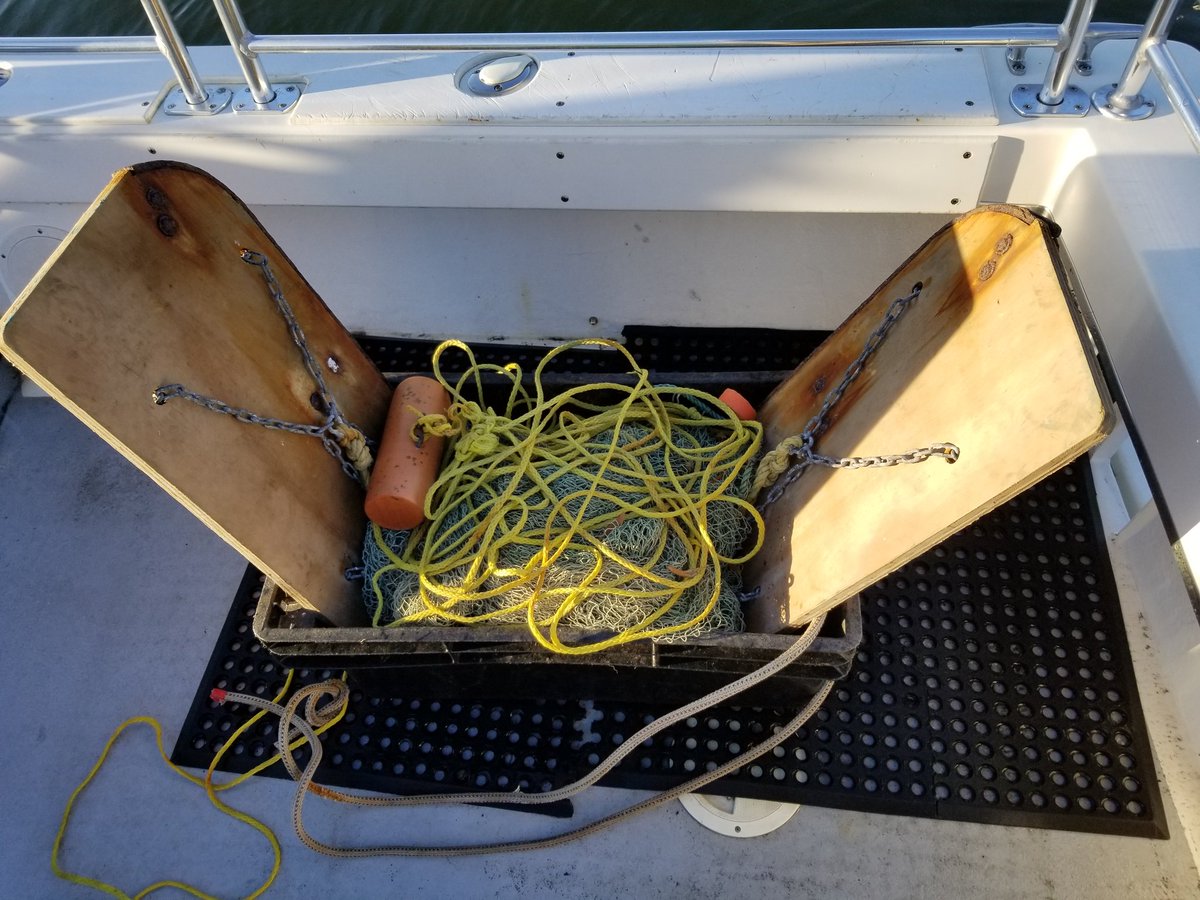 401scuba's tweet photo. So I'm a week behind. Last weekend we ran a few #trawl surveys for a #Marine #verterbrae #course. Brought the #fishingpoles as backup. #MtHopeBay #NarragansettBay #RI #RWU #marinescience #rwusciences https://t.co/g7qS6ltrB7