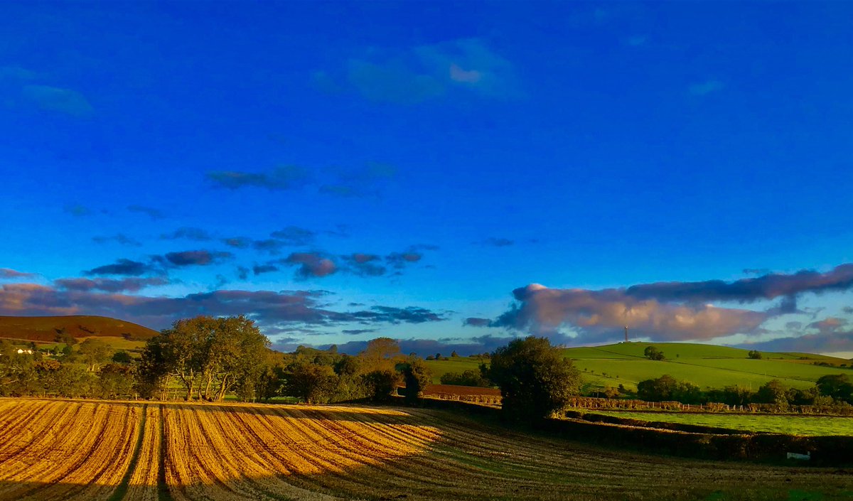 Aneedtopaint's tweet photo. Early morning walk over to #ActonScott today and lovely to be immersed in the farmland and meet a few of the locals!!! #Shropshire #LoveWalking #Filters #Sunrise https://t.co/uVavLzr1z8