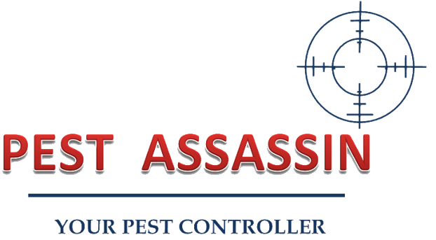 LaurelLeafChat's tweet photo. 🍁 Pests can cause damage to your property, contaminate food, spread disease and generally cause health issues. @Pest_Assassin will deal with them all. Get in touch today! https://t.co/W7eumWJIWN #pestcontrol #insects #pestproblem #ants https://t.co/pSn1uHMg2C
