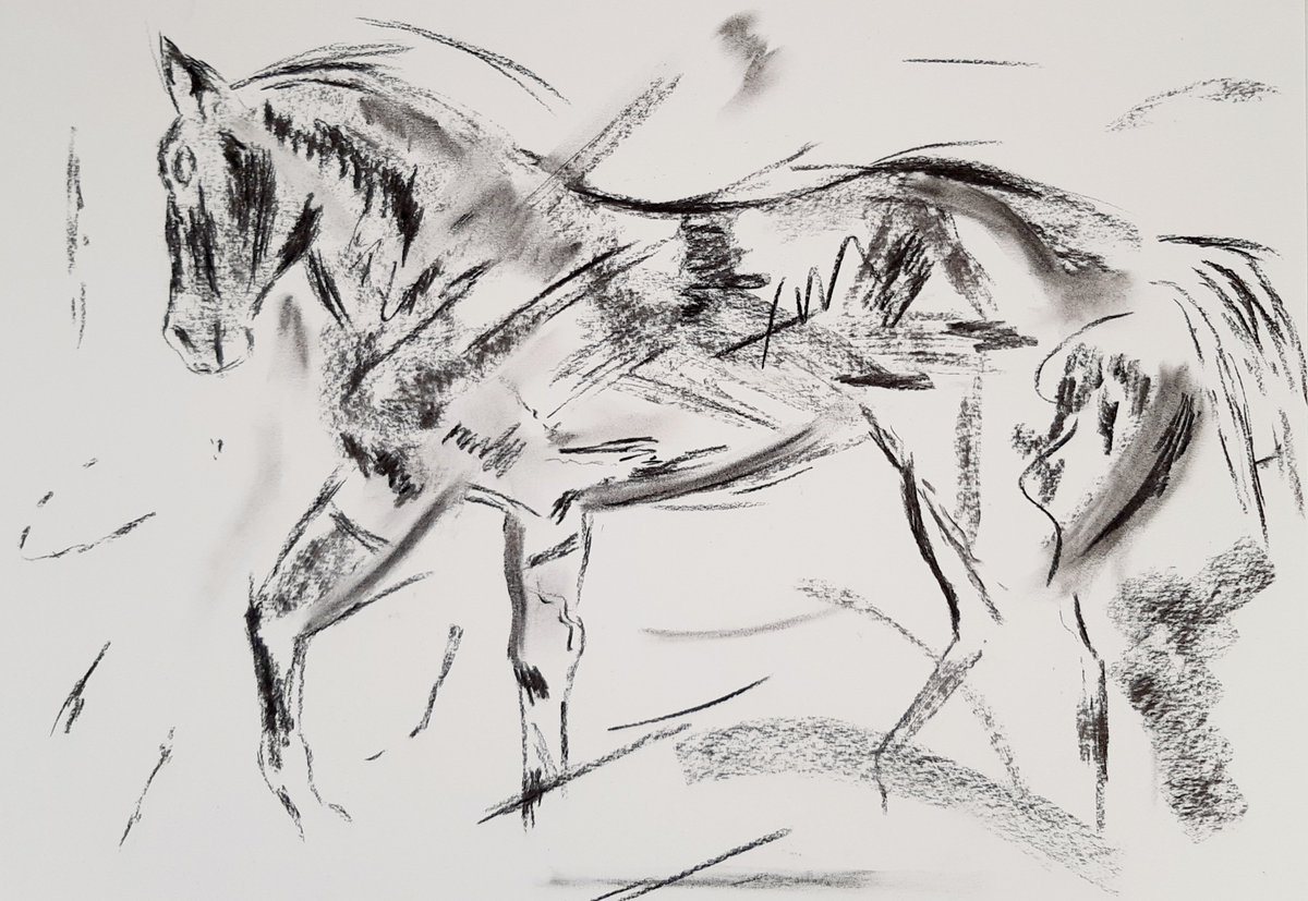 "Love the animal first &amp; the sport second".