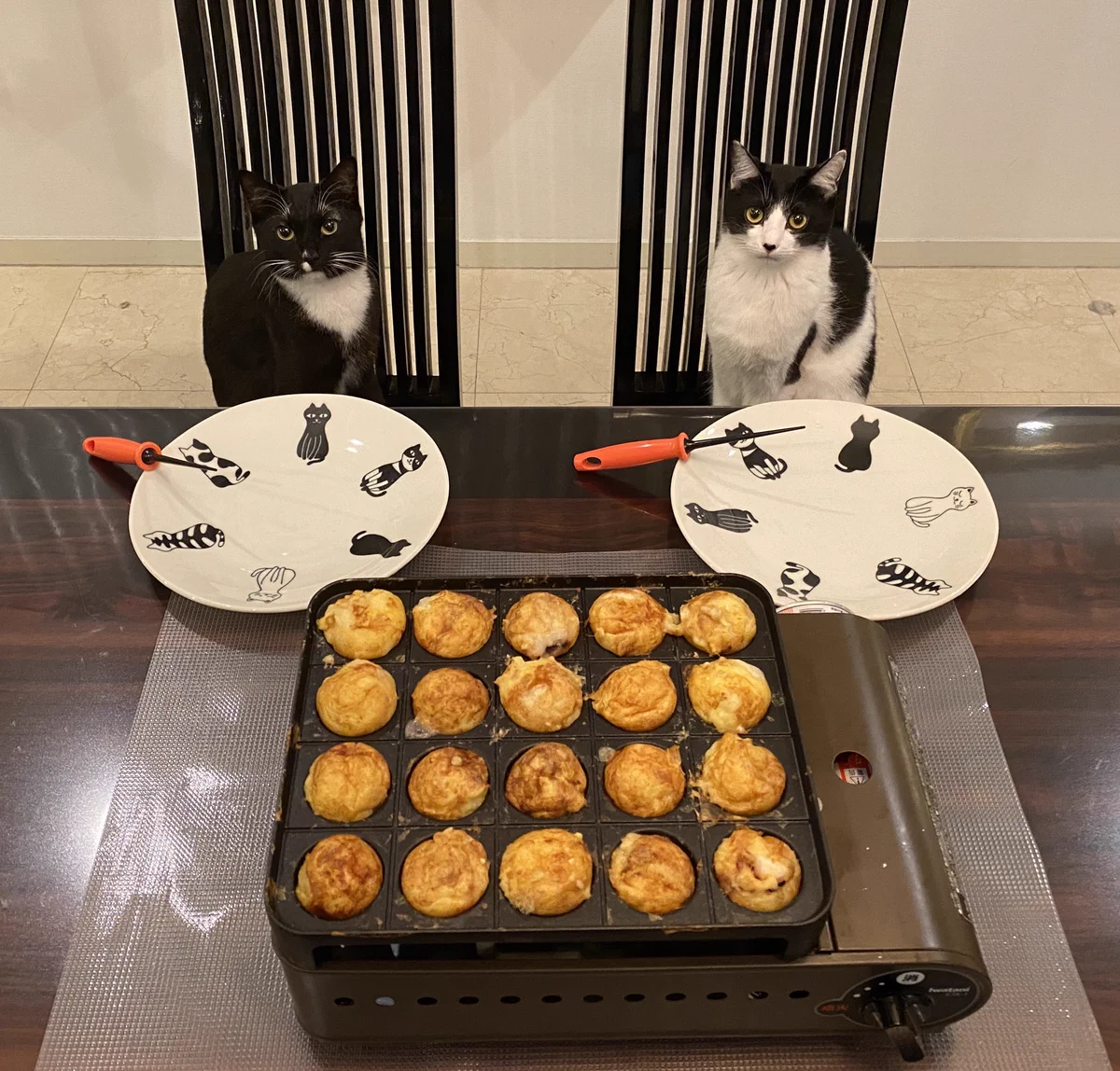 猫・家族写真のポーズが、最高にお上手！！練習した？